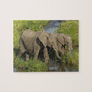 Pair of African Elephants Masai Mara Jigsaw Puzzle