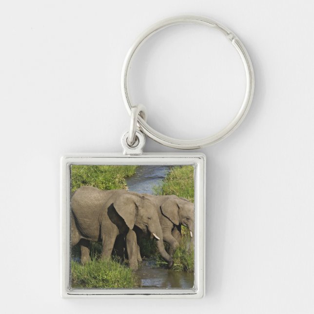 Pair of African Elephants Masai Mara Key Ring (Front)