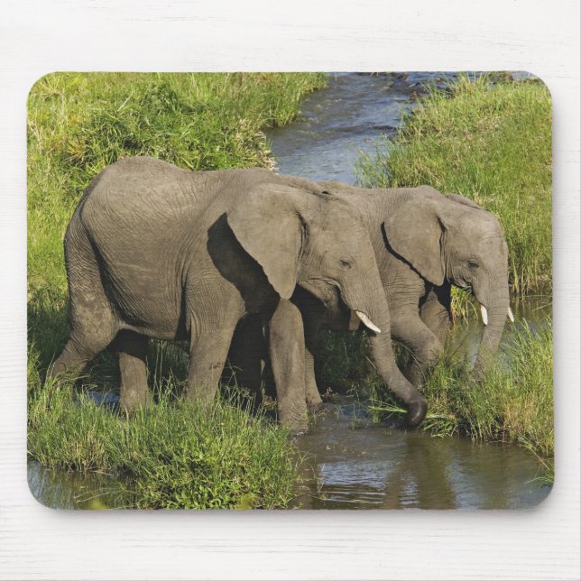 Pair of African Elephants Masai Mara Mouse Pad (Front)