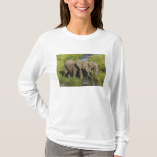 Pair of African Elephants Masai Mara T-Shirt