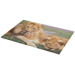 Pair of African Lions, Panthera leo, Tanzania Cutting Board