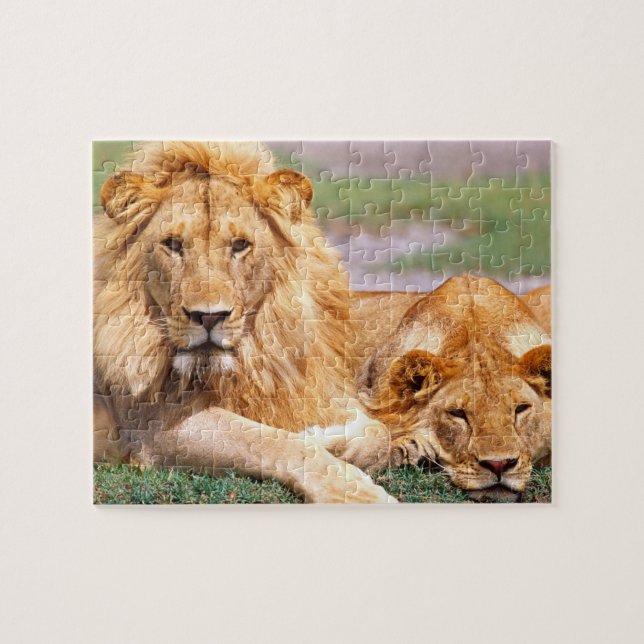 Pair of African Lions, Panthera leo, Tanzania Jigsaw Puzzle (Horizontal)