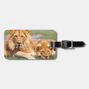 Pair of African Lions, Panthera leo, Tanzania Luggage Tag