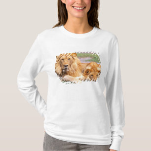 Pair of African Lions, Panthera leo, Tanzania T-Shirt