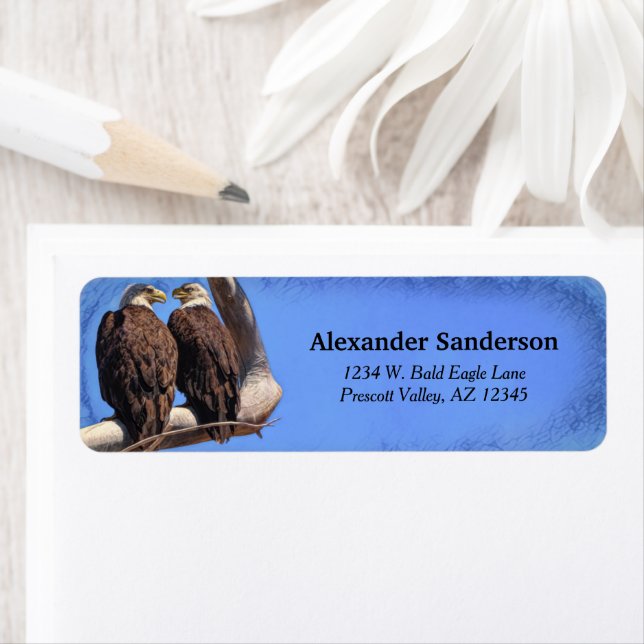 Pair Of Bald Eagles In Tree With Blue Background (Insitu)