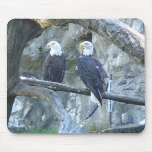 Pair of Bald Eagles Mouse Pad