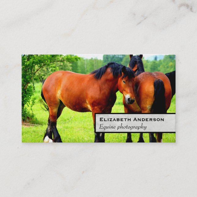 Pair Of Bay Polish Horses | Green Landscape Business Card (Front)