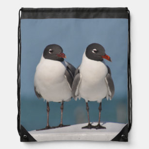 Pair of Black Headed Gulls Drawstring Bag