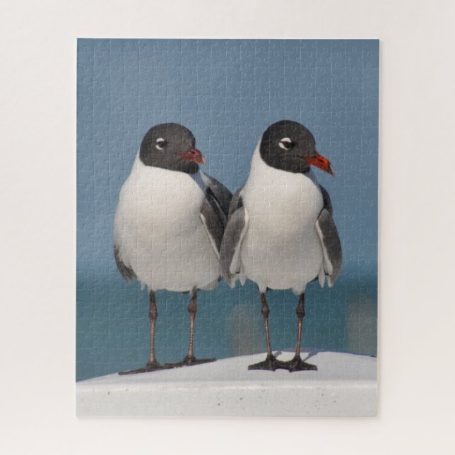 Pair of Black Headed Gulls Jigsaw Puzzle (Vertical)
