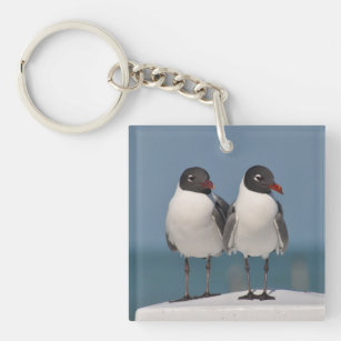 Pair of Black Headed Gulls Key Ring