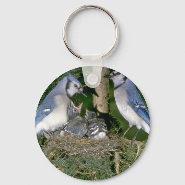 Pair of Blue Jays with young Key Ring (Front)