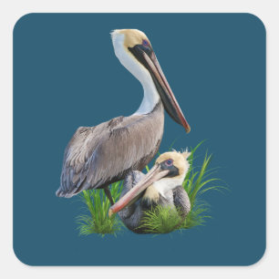 Pair of Brown Pelicans, Customisable Square Sticker