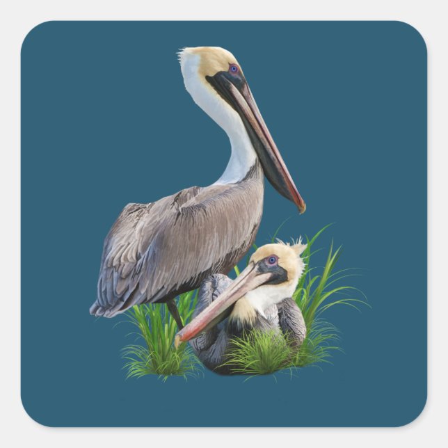 Pair of Brown Pelicans, Customisable Square Sticker (Front)