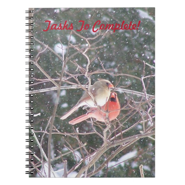Pair Of Cardinals Spiral Notebook (Front)