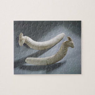 Pair of castanets, Thinite Period (hippopotamus iv Jigsaw Puzzle