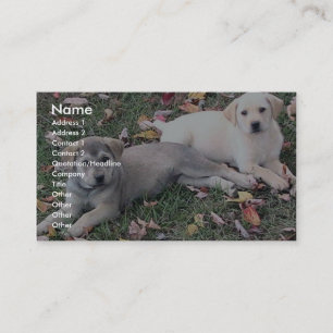 Pair Of Cute Puppies Laying On The Green Grass. Business Card