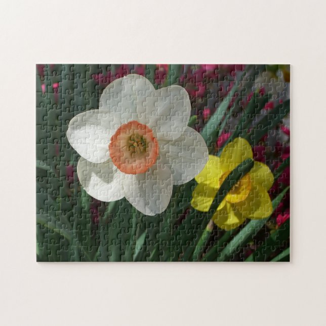 Pair of Daffodils Pink and Yellow Spring Flowers Jigsaw Puzzle (Horizontal)