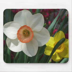 Pair of Daffodils Pink and Yellow Spring Flowers Mouse Pad