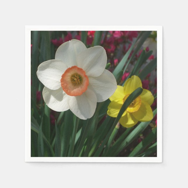 Pair of Daffodils Pink and Yellow Spring Flowers Napkin (Front)