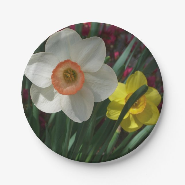 Pair of Daffodils Pink and Yellow Spring Flowers Paper Plate (Front)