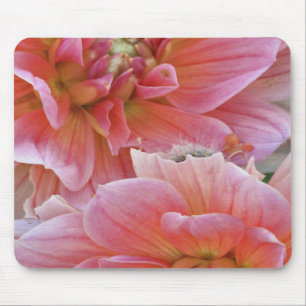 Pair of Dahlia flowers, Dahlia spp. , Mouse Pad