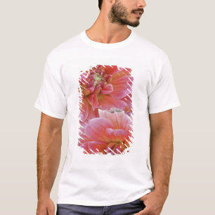 Pair of Dahlia flowers, Dahlia spp. , T-Shirt