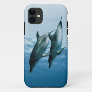 Pair of Dolphins Case-Mate iPhone Case