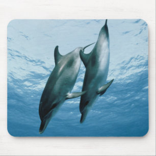 Pair of Dolphins Mouse Pad