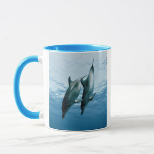 Pair of Dolphins Mug