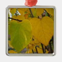Pair of Fall Redbud Leaves Autumn Photography