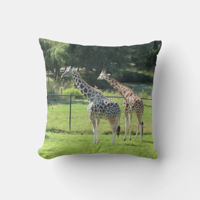 Pair of Giraffes Cushion (Front)