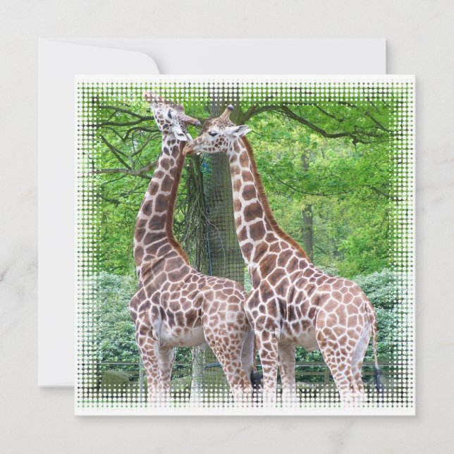 Pair of Giraffes Invitation (Front)
