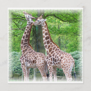 Pair of Giraffes Invitation