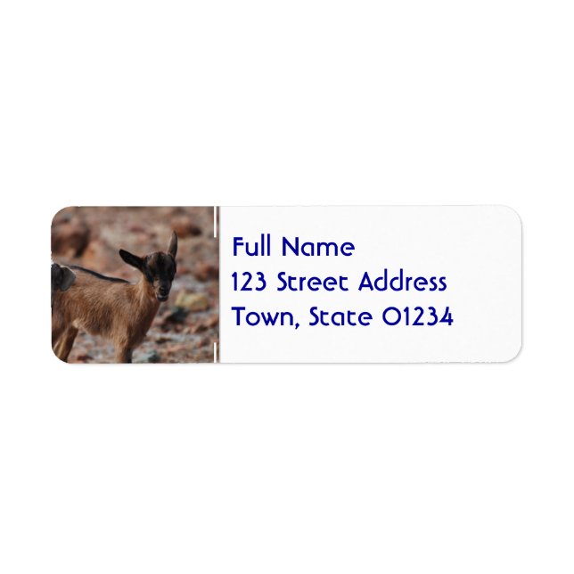 Pair of Goats (Front)