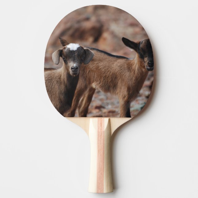Pair of Goats Ping Pong Paddle (Front)