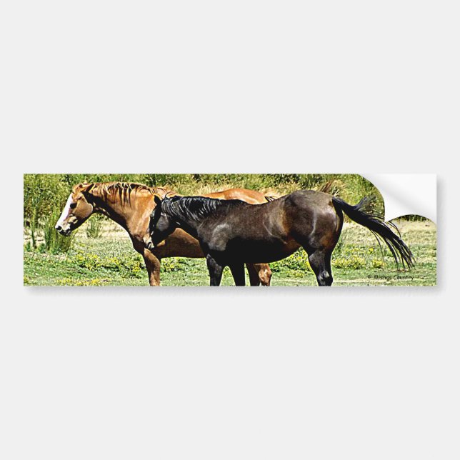 Pair of Horses Bumper Sticker (Front)