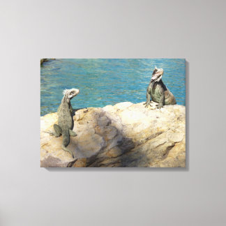 Pair of Iguanas Tropical Wildlife Photography Canvas Print
