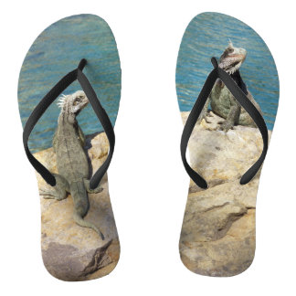 Pair of Iguanas Tropical Wildlife Photography Jandals