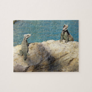 Pair of Iguanas Tropical Wildlife Photography Jigsaw Puzzle