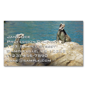Pair of Iguanas Tropical Wildlife Photography Magnetic Business Card