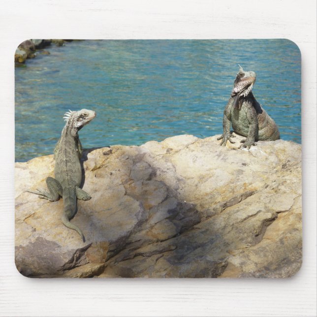 Pair of Iguanas Tropical Wildlife Photography Mouse Pad (Front)