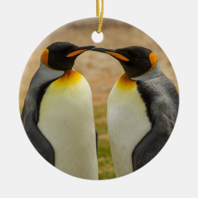 Pair of King Penguins, Falklands Ceramic Tree Decoration (Front)