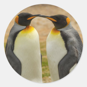 Pair of King Penguins, Falklands Classic Round Sticker