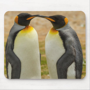Pair of King Penguins, Falklands Mouse Pad