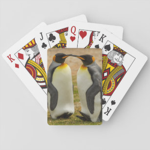 Pair of King Penguins, Falklands Playing Cards