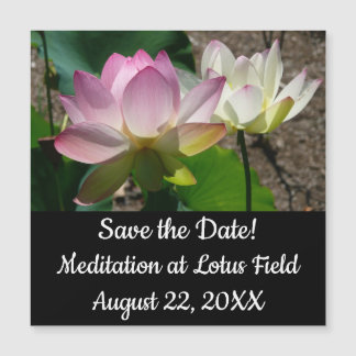 Pair of Lotus Flowers I