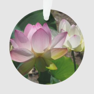 Pair of Lotus Flowers I Ornament