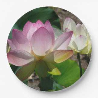 Pair of Lotus Flowers I Paper Plate