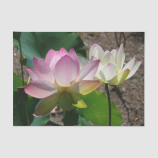 Pair of Lotus Flowers I Tissue Paper