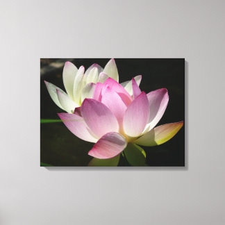 Pair of Lotus Flowers II Canvas Print